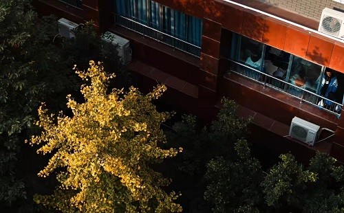 四川大学附属中学国际部7