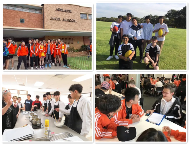 马年启新章｜成都为明学校国际部早春喜报频传(图9)