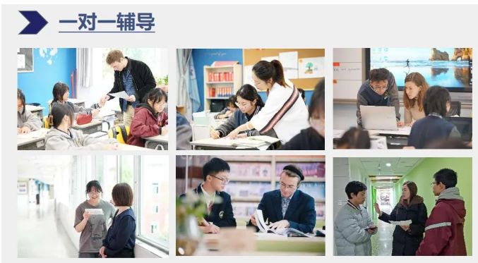 马年启新章｜成都为明学校国际部早春喜报频传(图10)